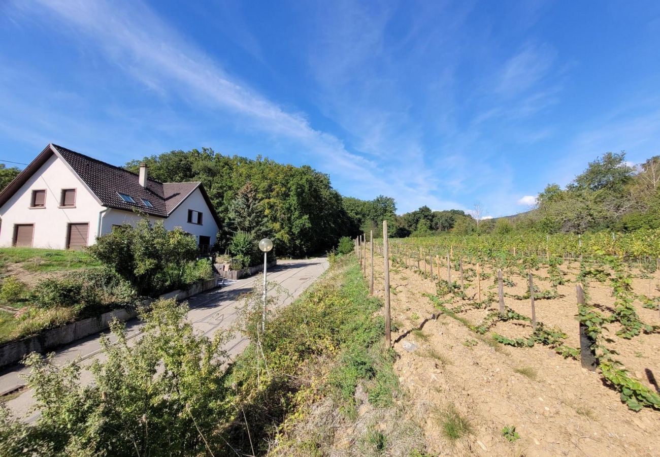 Ferienhaus in Mittelbergheim - Gite du Holzweg La maison familiale