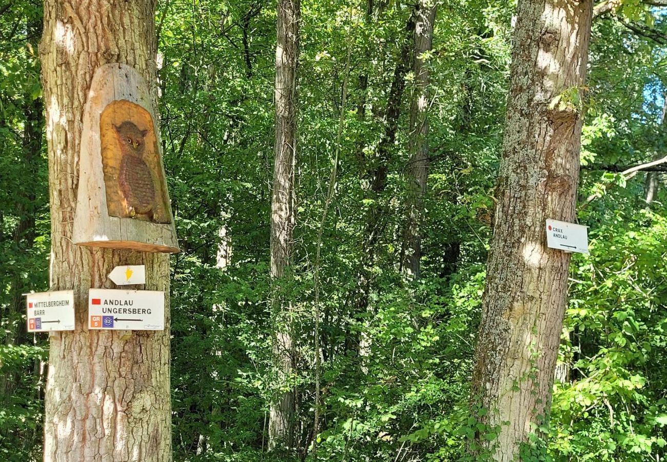 Ferienhaus in Mittelbergheim - Gite du Holzweg La maison familiale