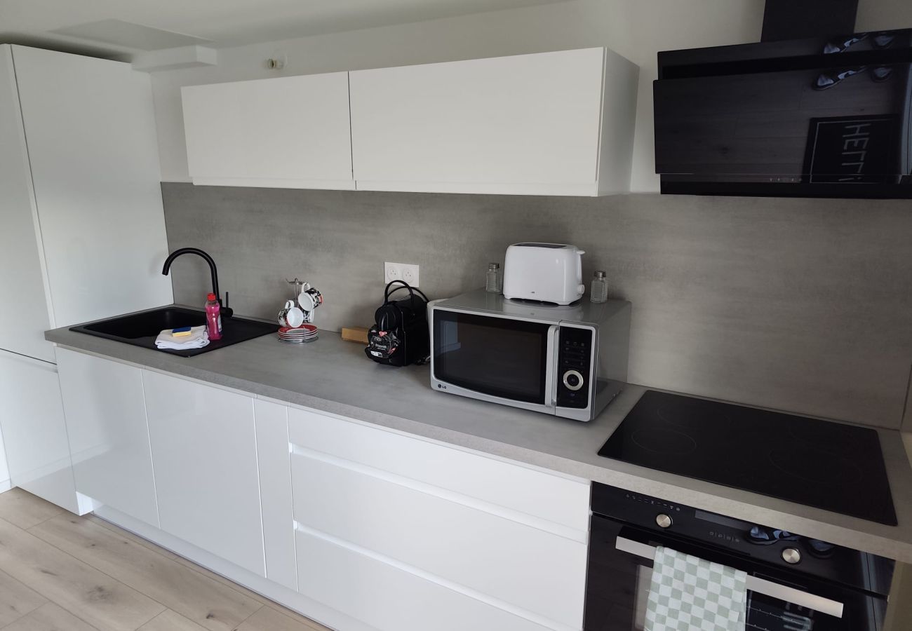 Ferienwohnung in Colmar - Nid de la Luss