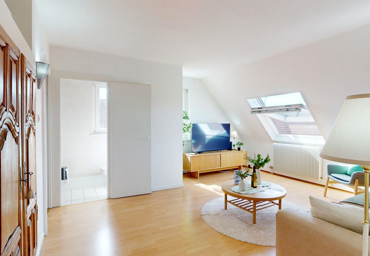 Ferienwohnung in Colmar - L'émeraude 360 avec parking