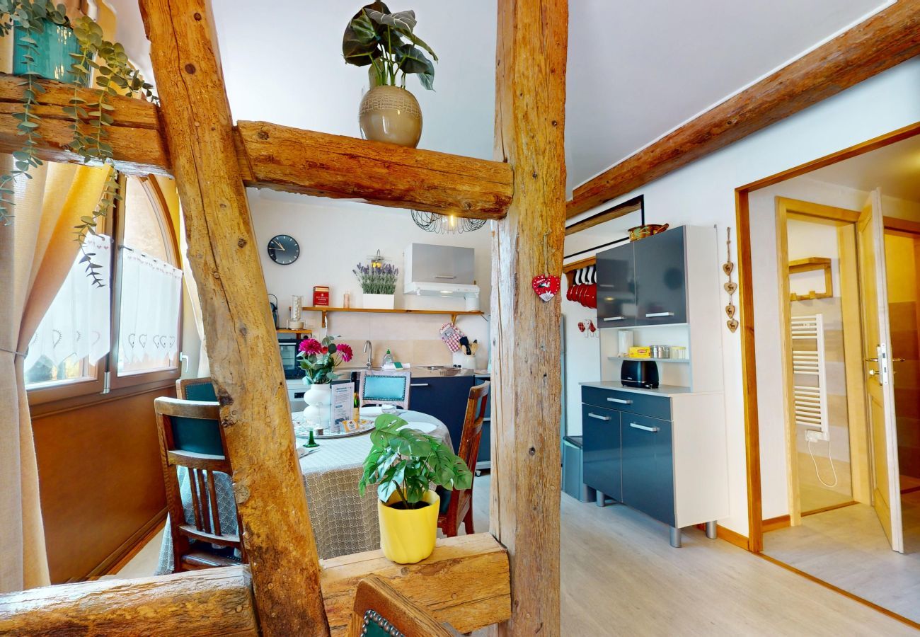 Ferienwohnung in Eguisheim - Le petit Schatz d'Eguisheim