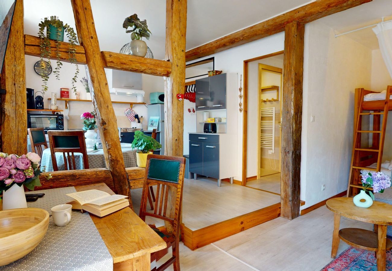 Ferienwohnung in Eguisheim - Le petit Schatz d'Eguisheim
