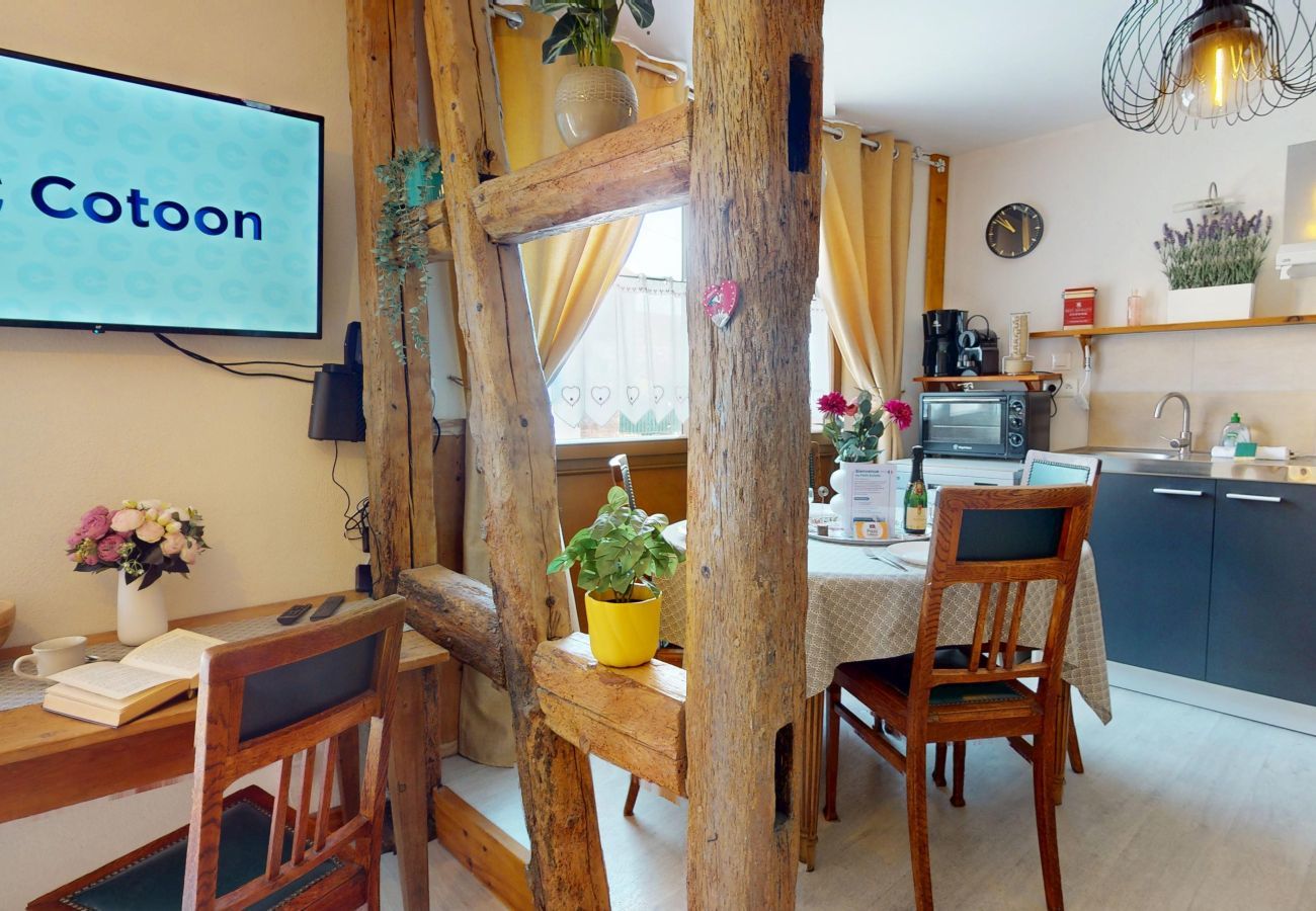 Ferienwohnung in Eguisheim - Le petit Schatz d'Eguisheim