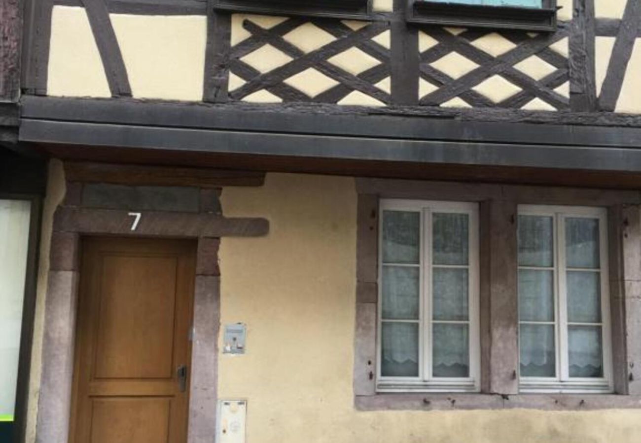 Studio in Colmar - Berthe Molly 2