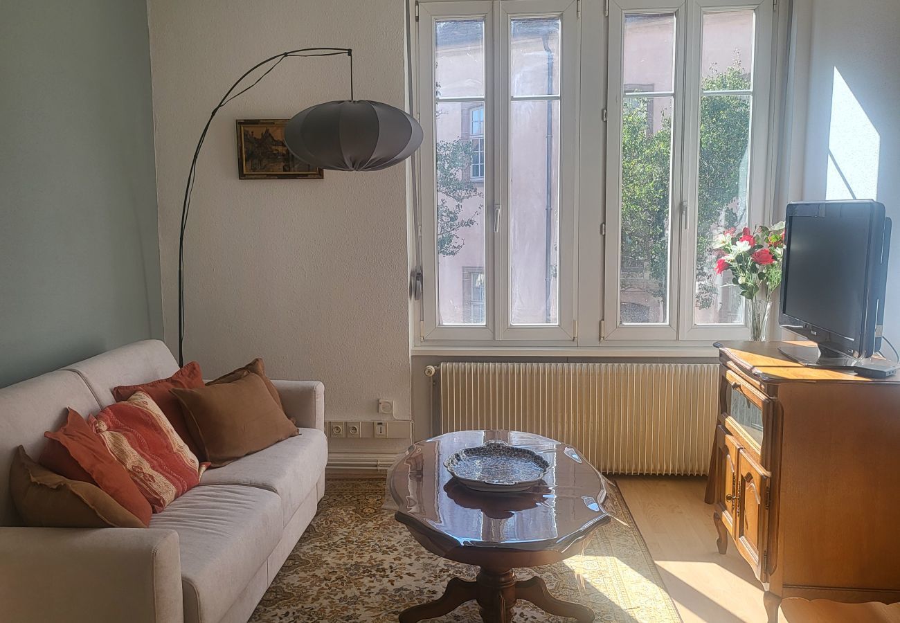 Ferienwohnung in Colmar - Au Buisson De Roses