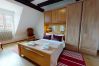 Apartment in Colmar - le saphir 1 free parking city center 3br 2bt Apartment in Colmar - le saphir 1 free parking city center 3br 2bt