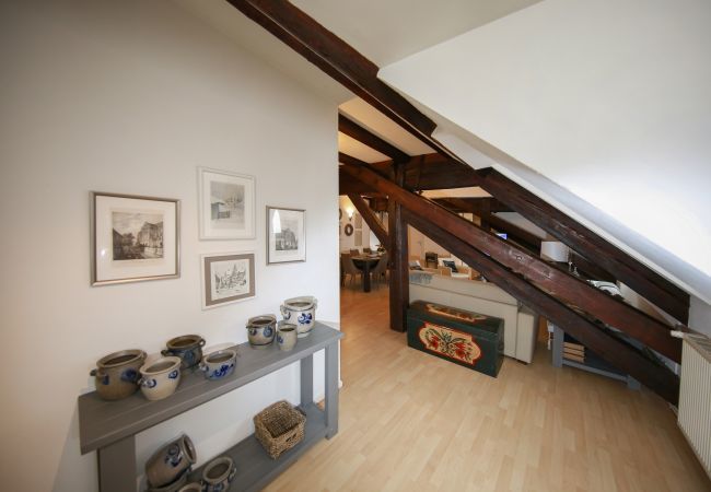 Apartment in Colmar - baumgartner 117m2 city center ac 3br 2bth