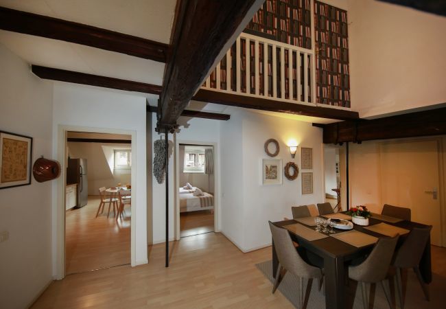 Apartment in Colmar - baumgartner 117m2 city center ac 3br 2bth