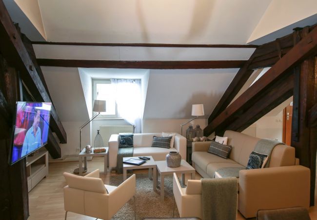 Apartment in Colmar - baumgartner 117m2 city center ac 3br 2bth