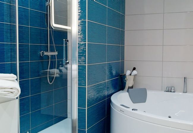 Apartment in Colmar - hansi spa city center  up to 4