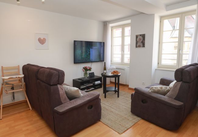 Apartment in Colmar - lang 80m2 city center          3br
