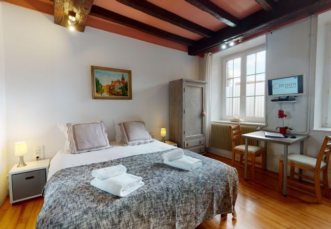 Studio in Colmar - Le studio bartholdi with access to lounge Studio in Colmar - Le studio bartholdi with access to lounge