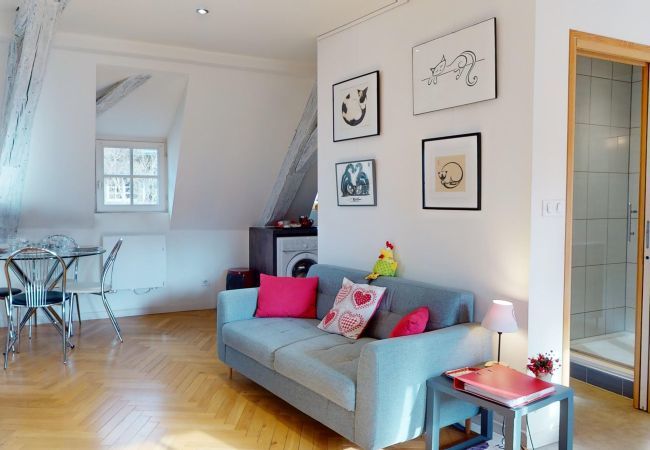 Apartment in Colmar - Duplex Le Coup de Coeur - Hypercentre