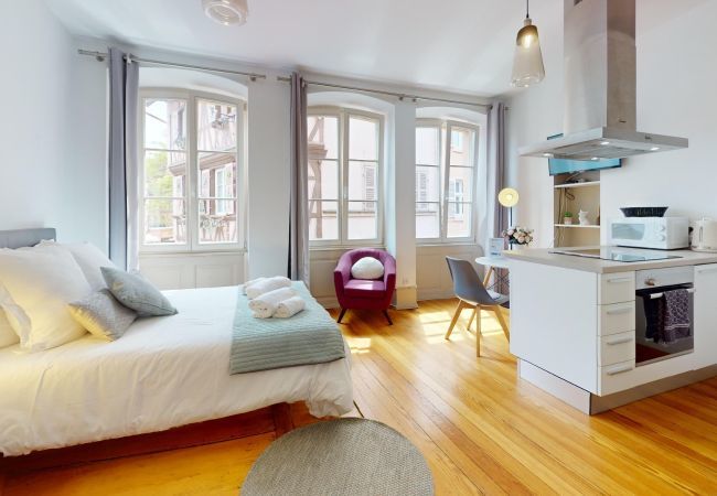 Studio in Colmar - Les gîtes d'Elouise 1
