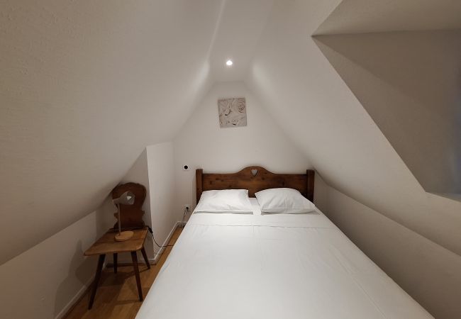 Apartment in Colmar - Koifhus 3