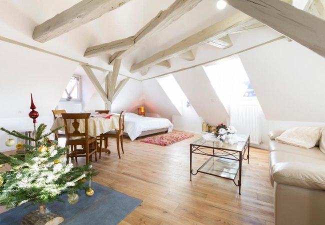 Apartment in Colmar - Saint Nicolas 4