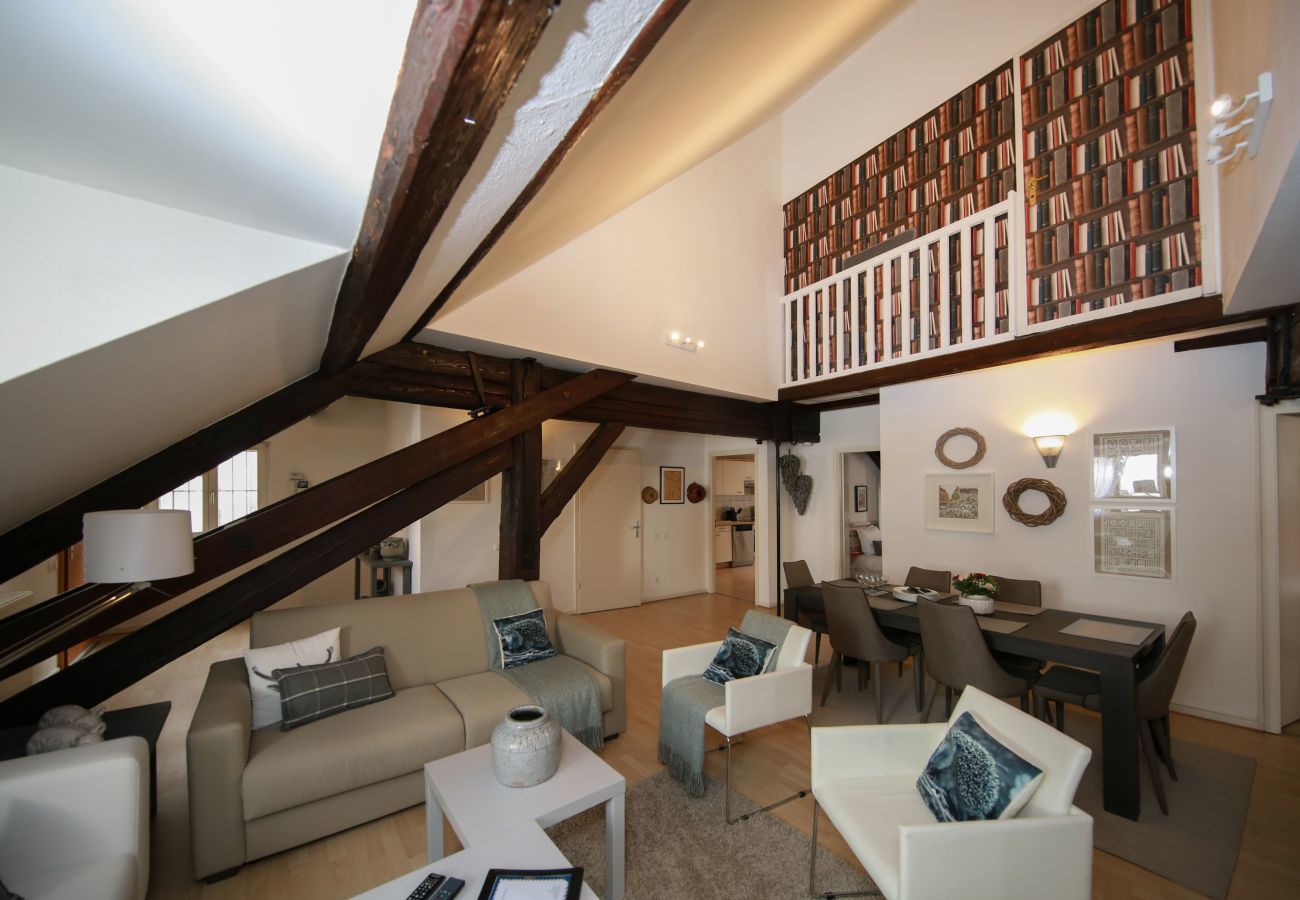 Apartment in Colmar - baumgartner 117m2 city center ac 3br 2bth