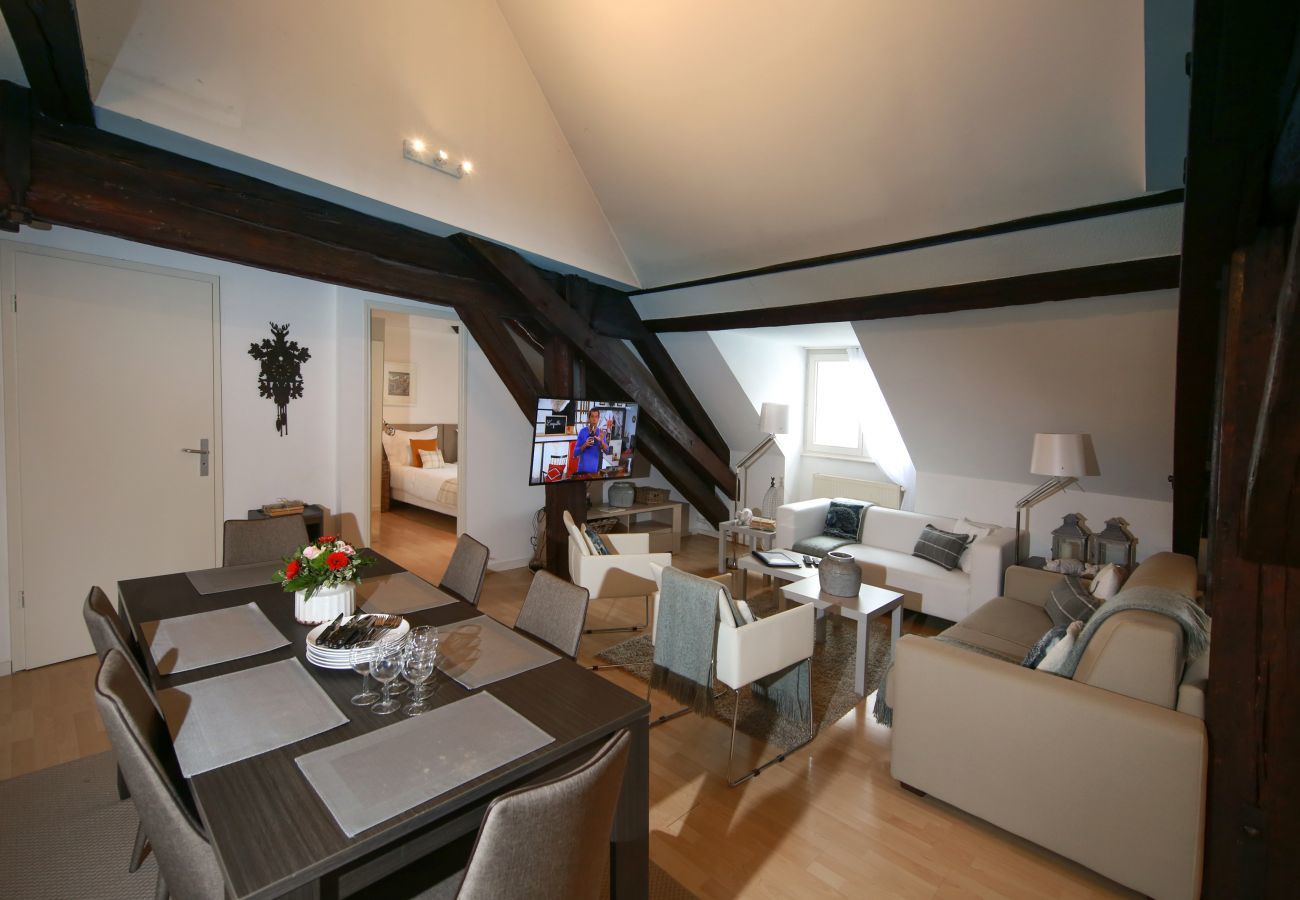 Apartment in Colmar - baumgartner 117m2 city center ac 3br 2bth