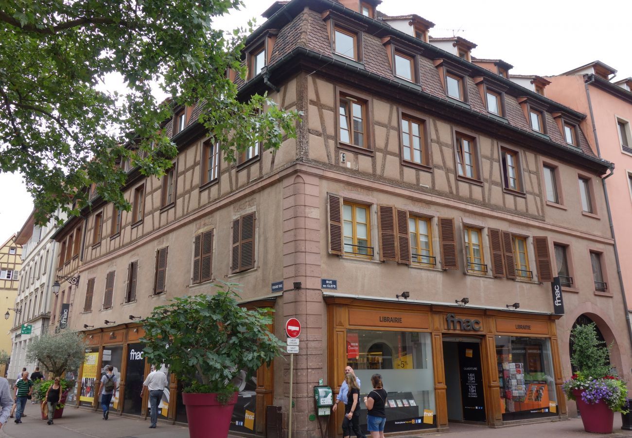 Apartment in Colmar - baumgartner 117m2 city center ac 3br 2bth