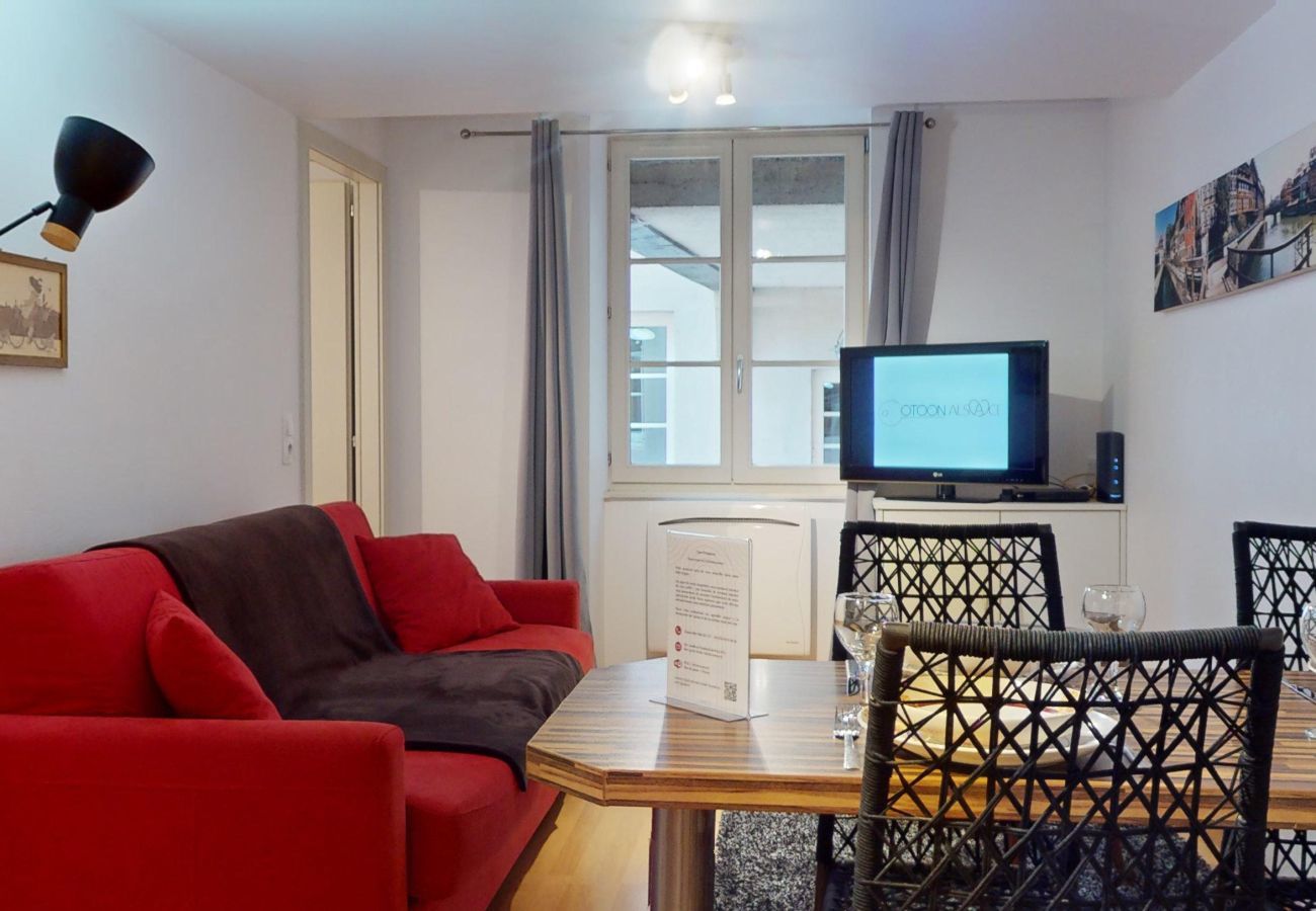 Apartment in Colmar - Celinovacances Hypercentre