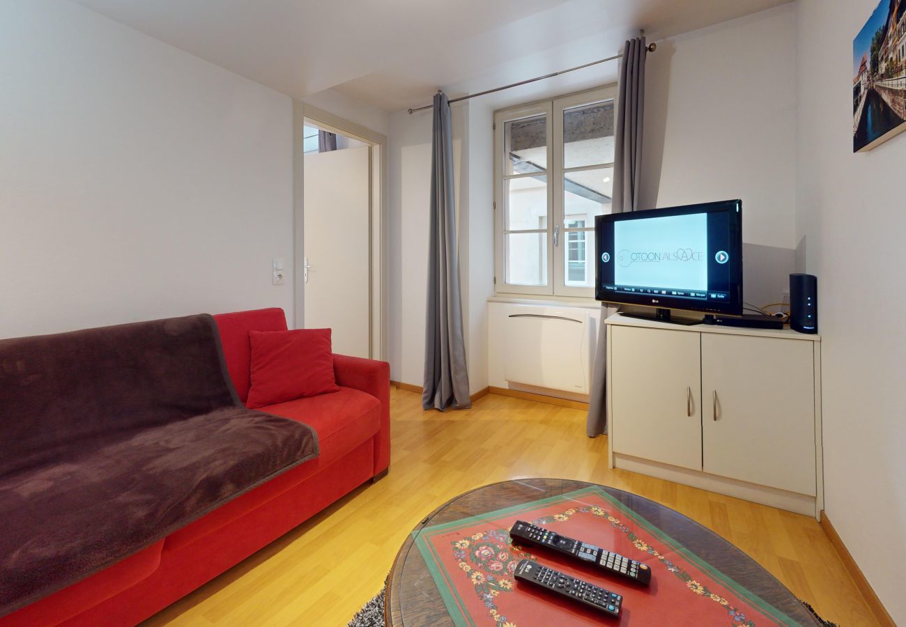 Apartment in Colmar - Celinovacances Hypercentre