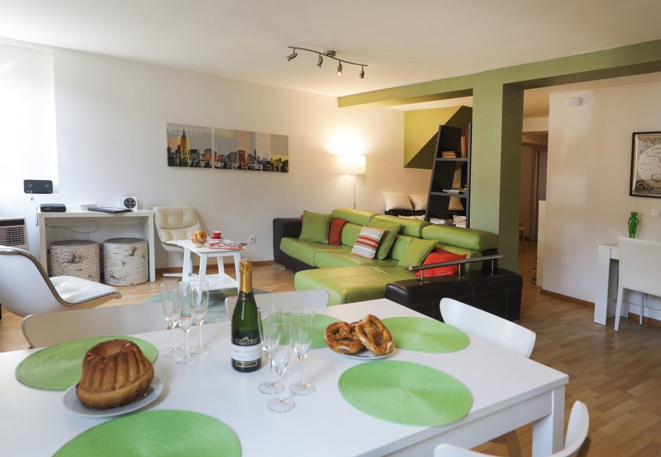 Apartment in Colmar - dollfus 80m2 city center 2br