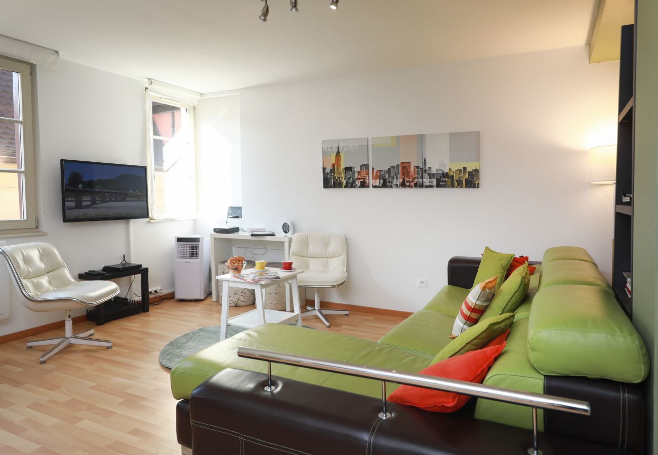 Apartment in Colmar - dollfus 80m2 city center 2br