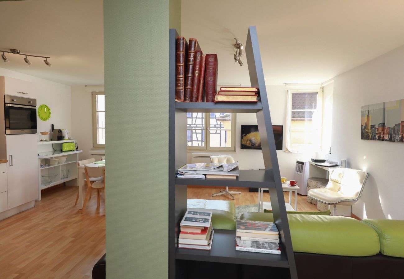 Apartment in Colmar - dollfus 80m2 city center 2br