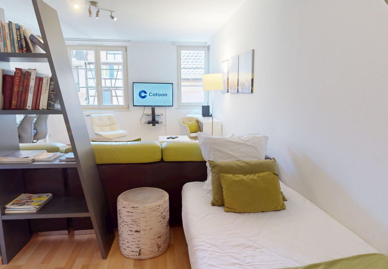 Apartment in Colmar - dollfus 80m2 city center 2br