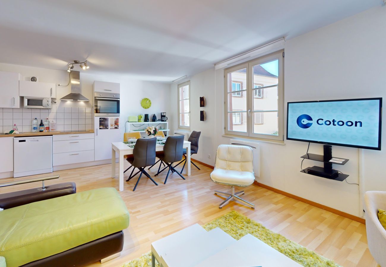 Apartment in Colmar - dollfus 80m2 city center 2br