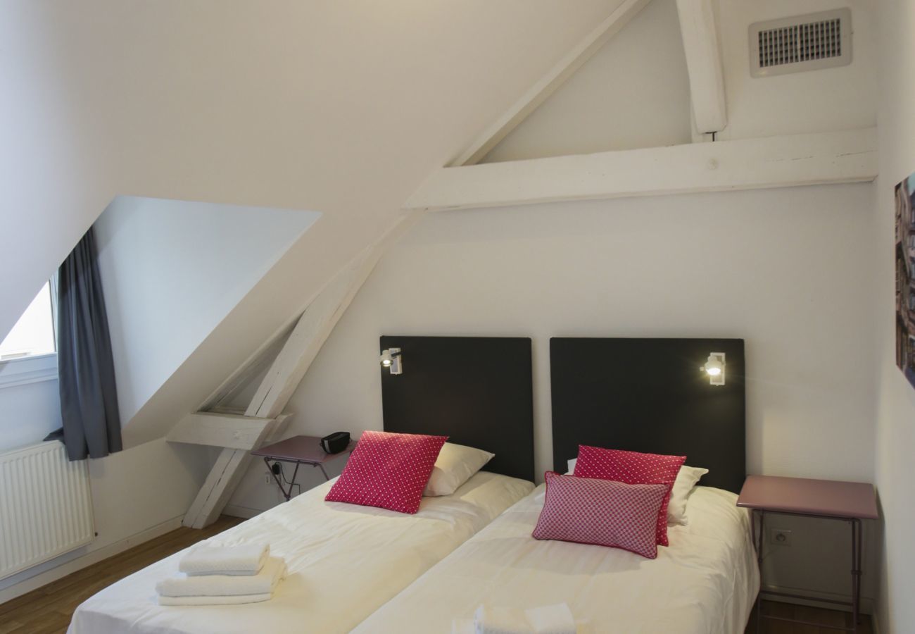 Apartment in Colmar - CAMILLE 165m² city center A/C 4br3bth