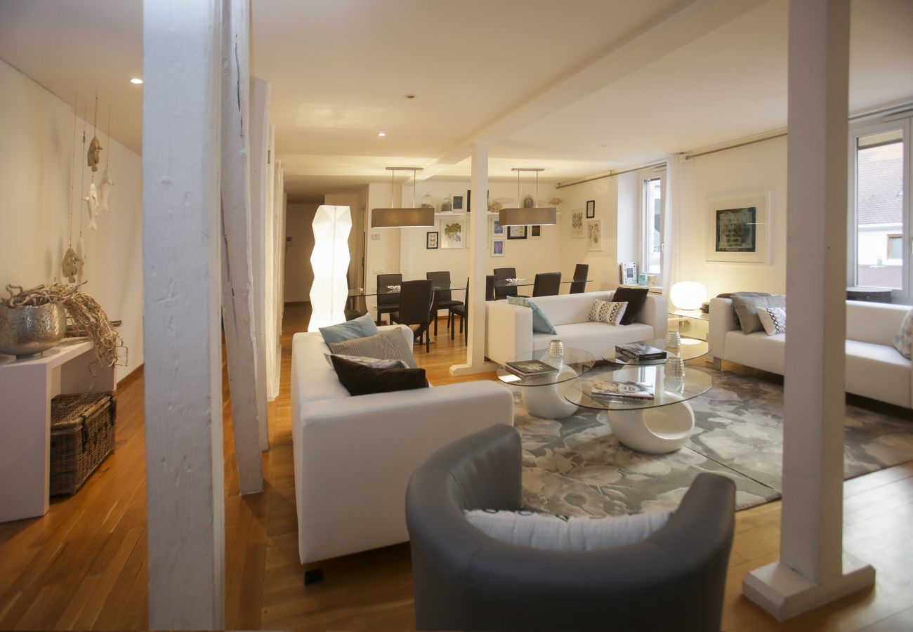 Apartment in Colmar - camille 165m2 city center a/c 4br3bth