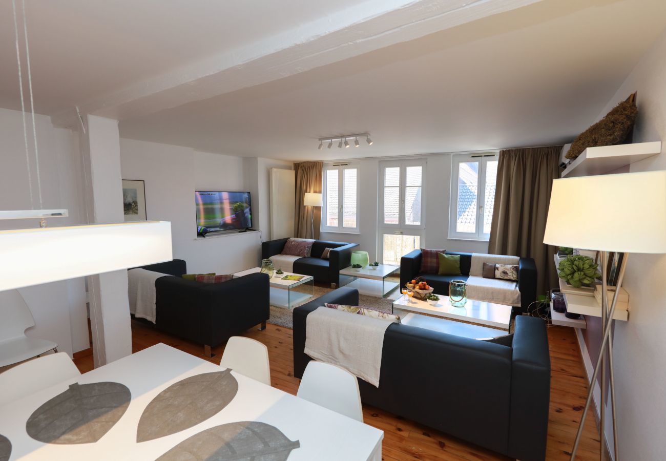 Apartment in Colmar - DECKER **** duplex city center 145m² A/C 3br 3bth
