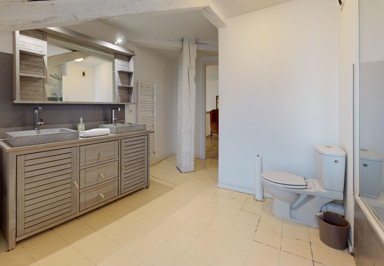 Apartment in Colmar - dreyfus duplex city center ac 3br 2bth 165m2