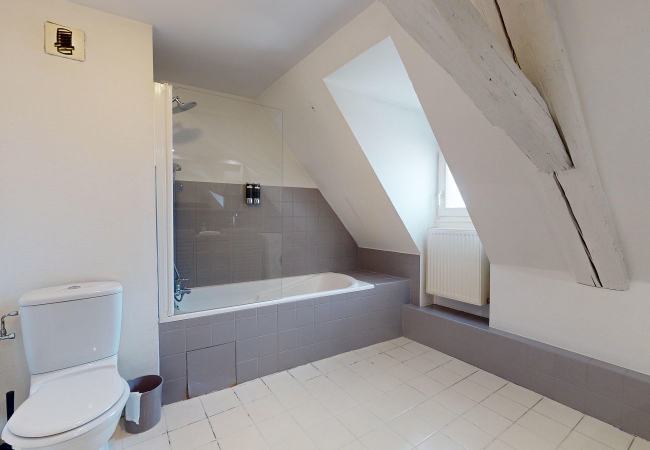 Apartment in Colmar - dreyfus duplex city center ac 3br 2bth 165m2