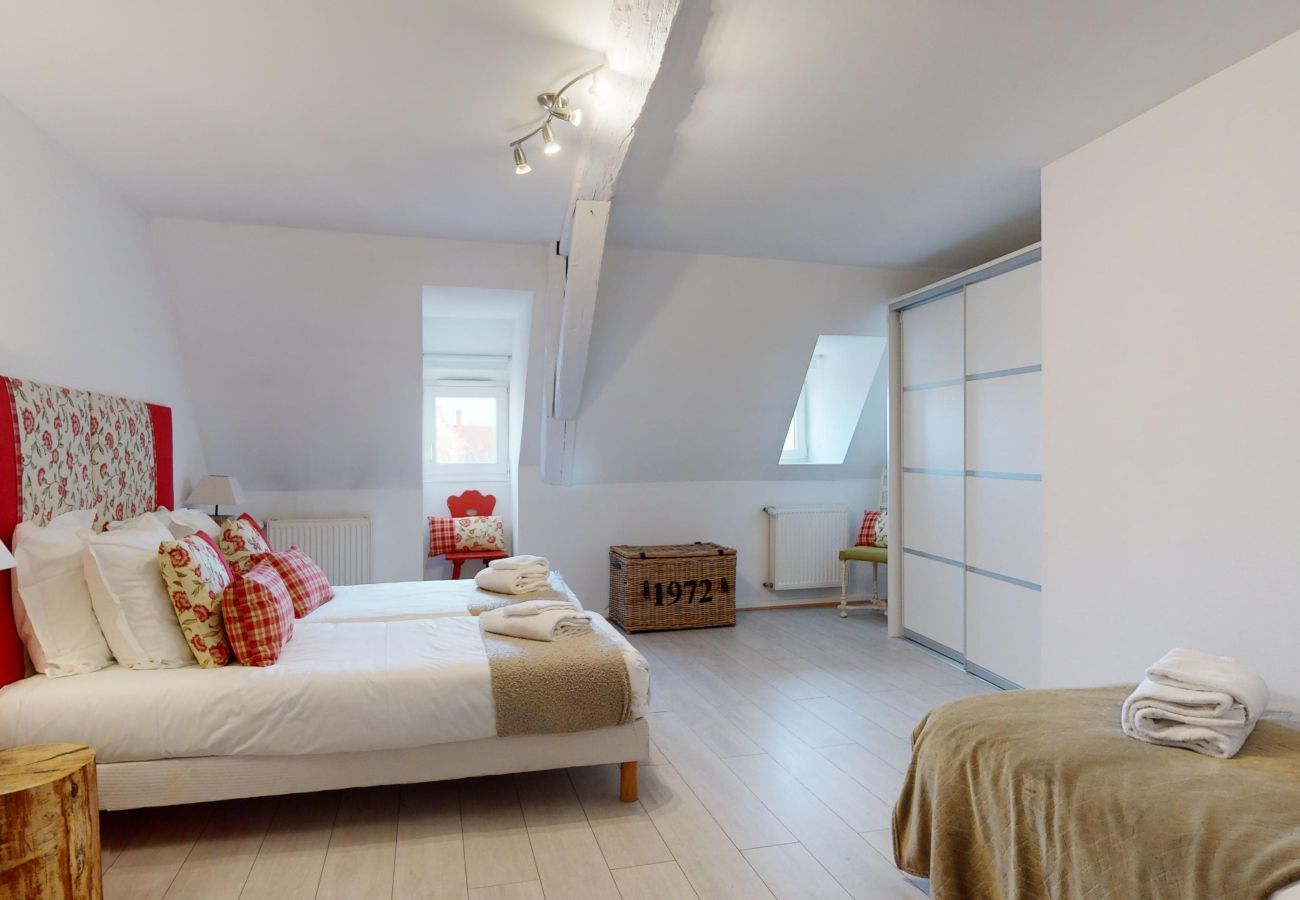 Apartment in Colmar - dreyfus duplex city center ac 3br 2bth 165m2