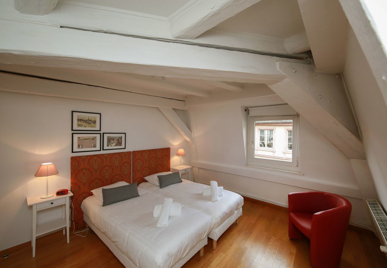 Apartment in Colmar - herzog duplex ac 160m2 city center 5br 3bth