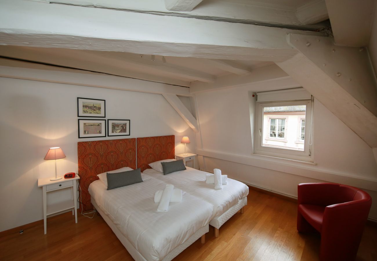 Apartment in Colmar - herzog duplex ac 160m2 city center 5br 3bth