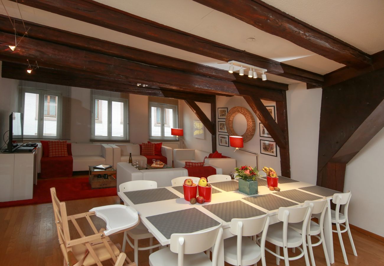 Apartment in Colmar - herzog duplex ac 160m2 city center 5br 3bth