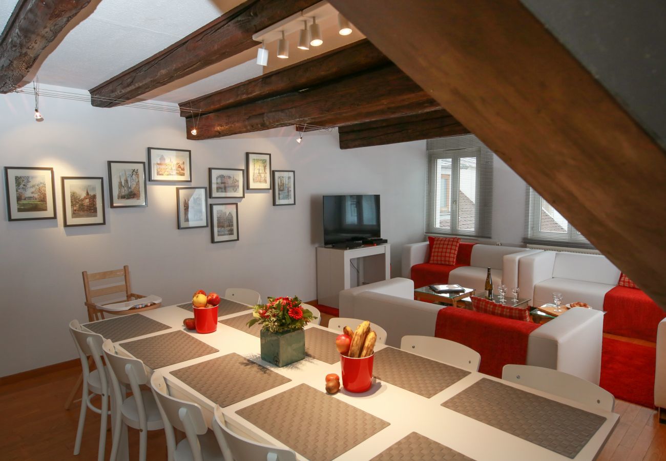 Apartment in Colmar - herzog duplex ac 160m2 city center 5br 3bth