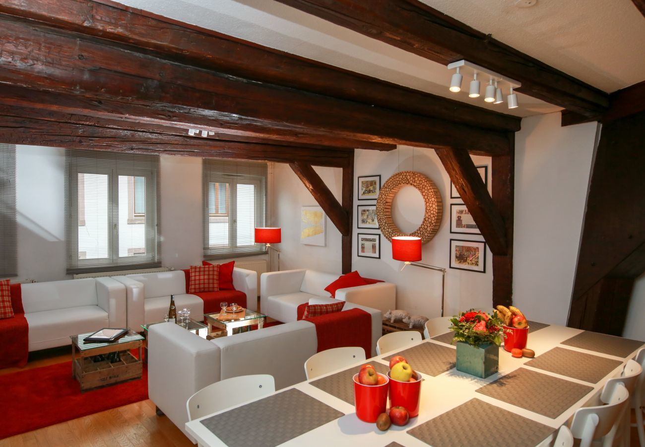 Apartment in Colmar - herzog duplex ac 160m2 city center 5br 3bth