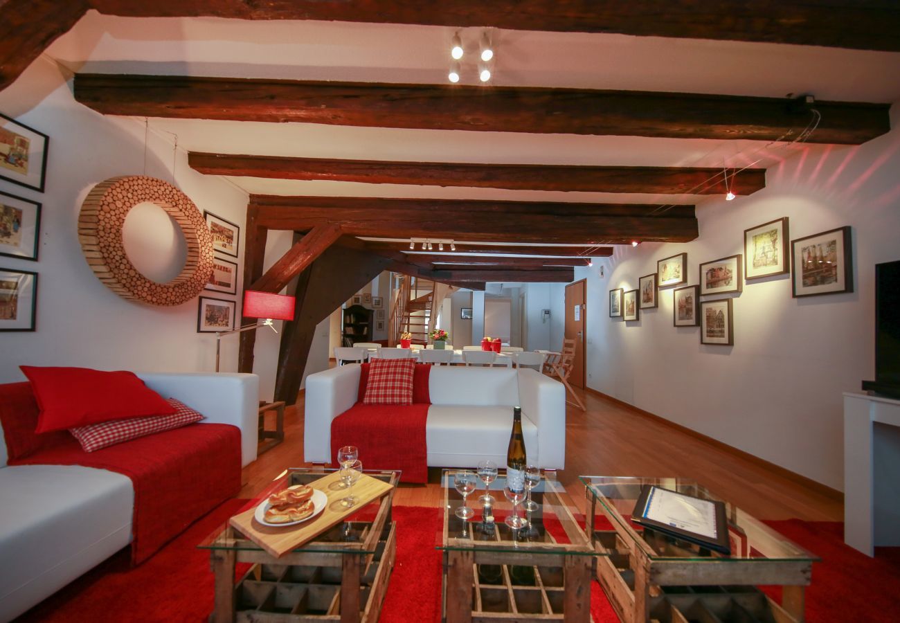 Apartment in Colmar - herzog duplex ac 160m2 city center 5br 3bth