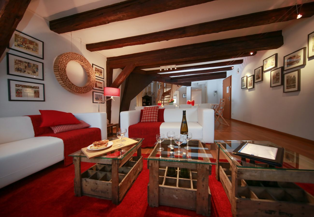 Apartment in Colmar - herzog duplex ac 160m2 city center 5br 3bth