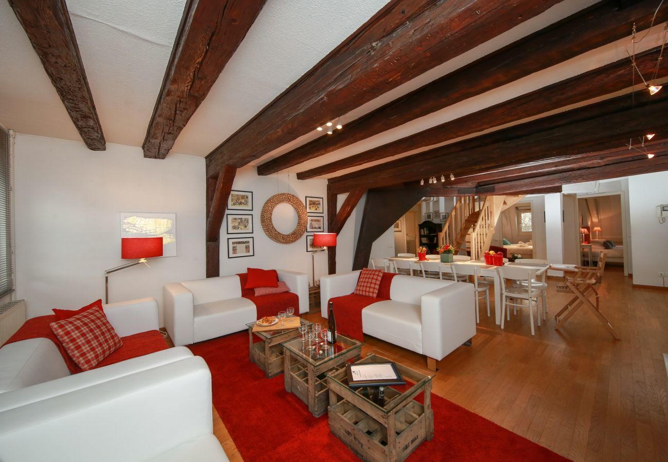 Apartment in Colmar - herzog duplex ac 160m2 city center 5br 3bth