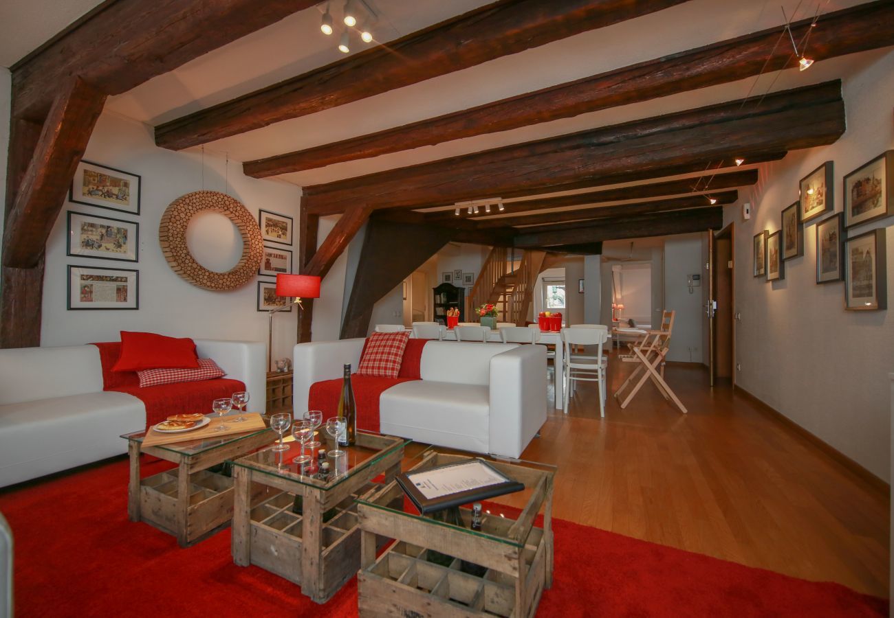 Apartment in Colmar - herzog duplex ac 160m2 city center 5br 3bth