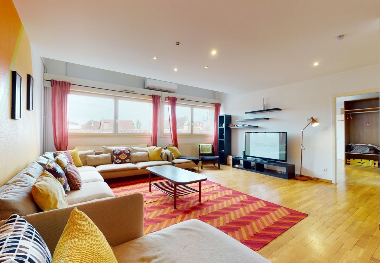 Apartment in Colmar - loux duplex 195m2 ac city center 4br 3bth 15p