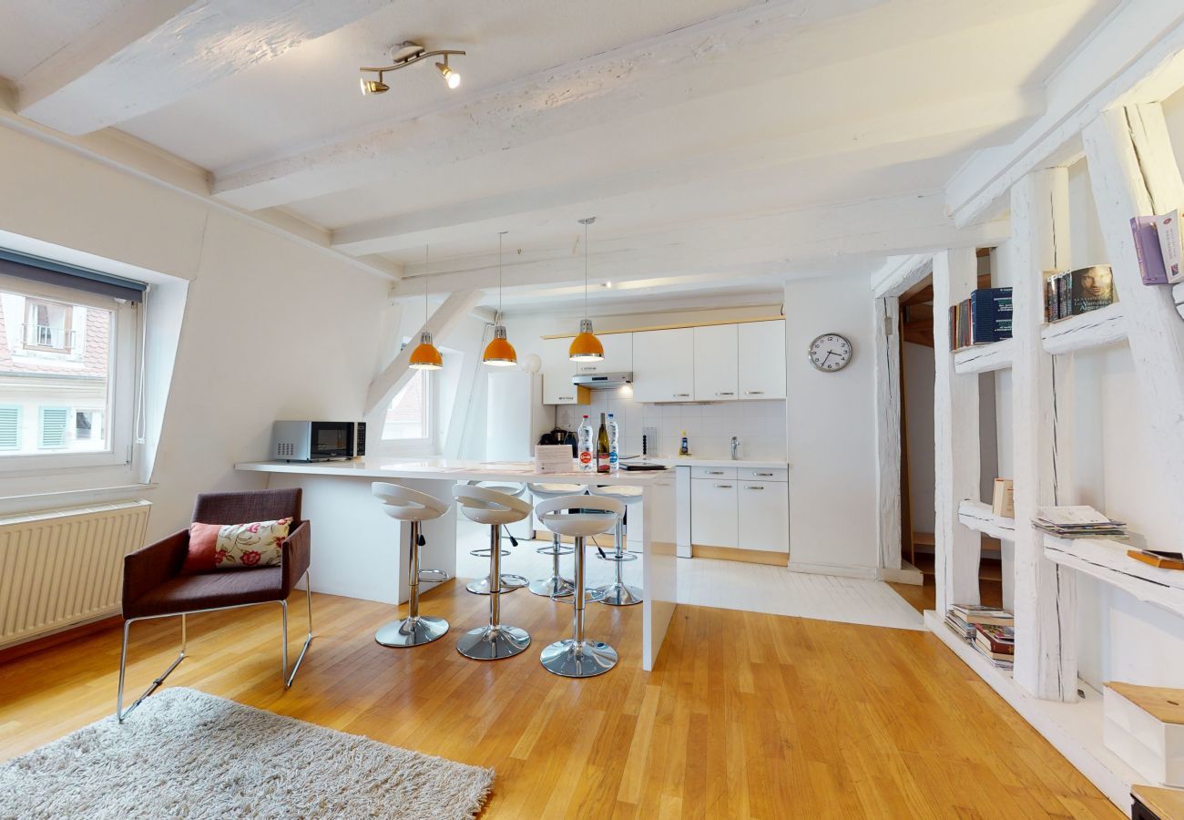 Apartment in Colmar - wallach duplex ac 78m2 city center up to 6