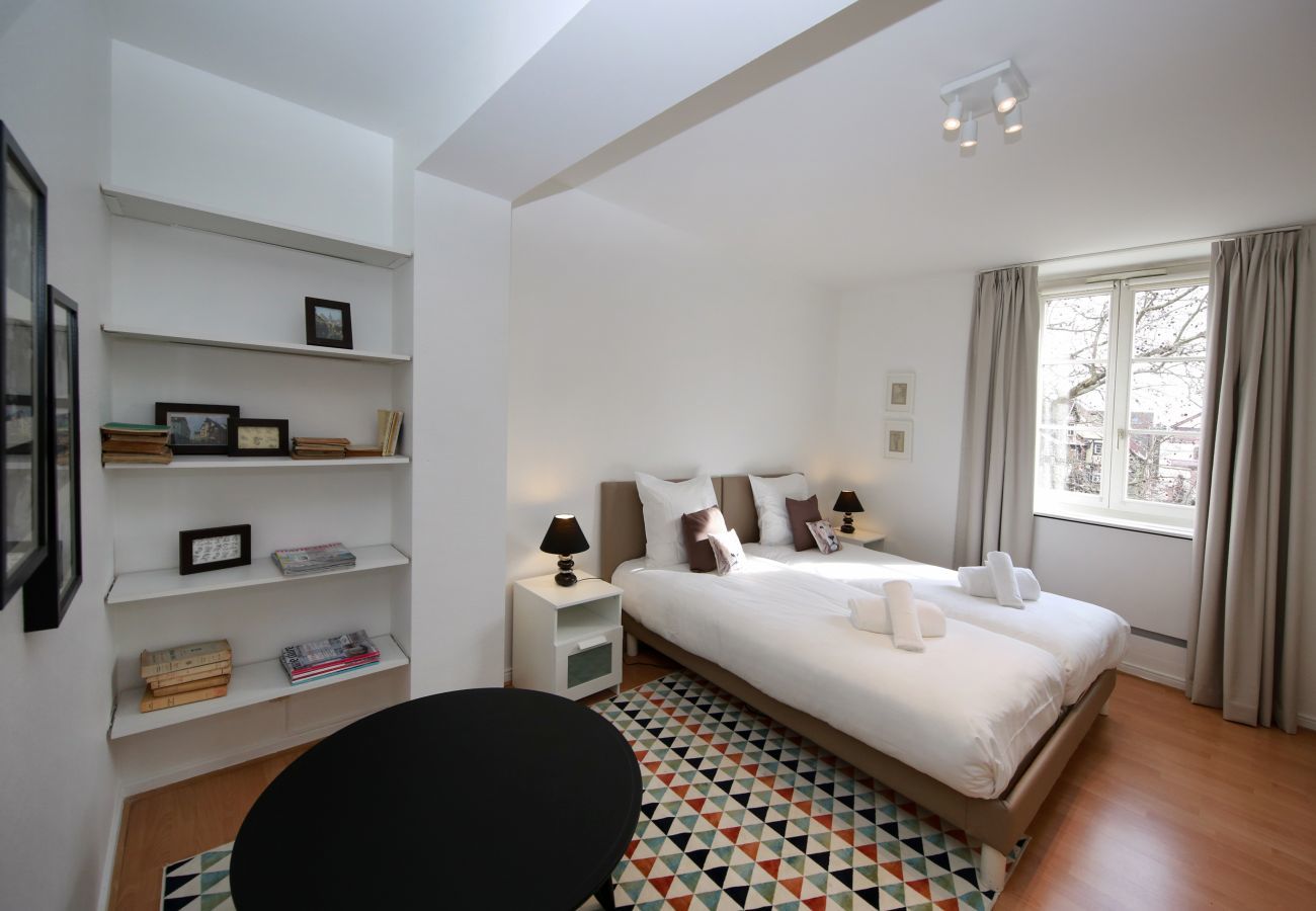 Apartment in Colmar - grimm **** 160m2 city center 3br 3bth