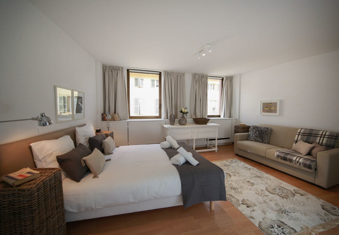 Apartment in Colmar - grimm 160m2 city center 3br 3bth