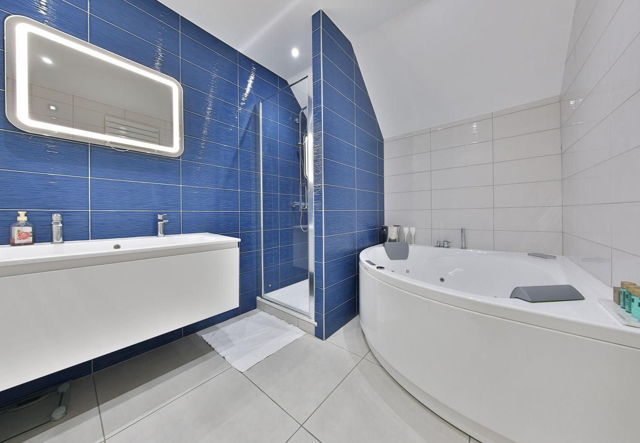 Apartment in Colmar - hansi spa city center  up to 4